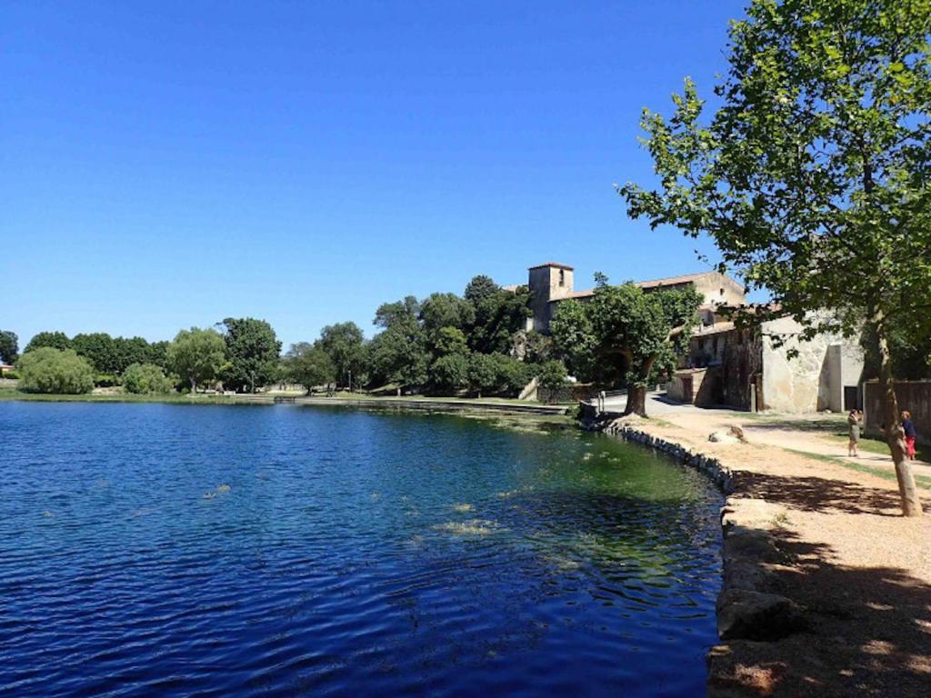 Villa Contemporaine Avec Piscine Au Calme Et Sans Vis-A-Vis Besse-sur-Issole Exterior photo